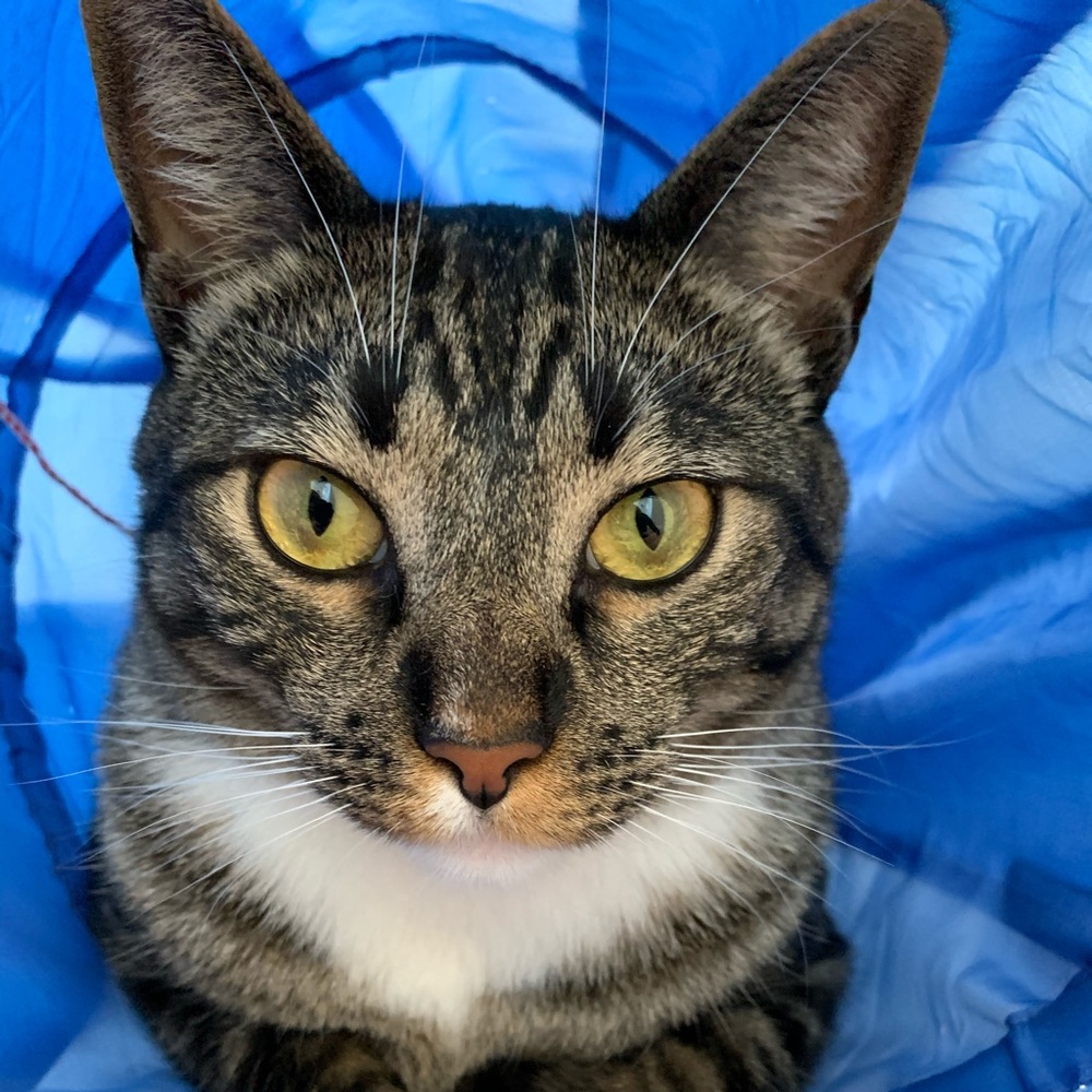 Meet your Posher, Kristen